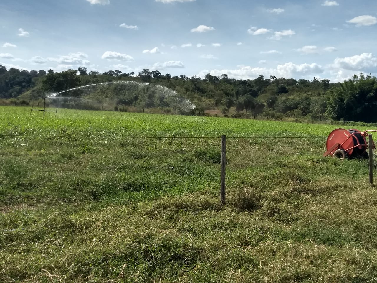 preservação do solo