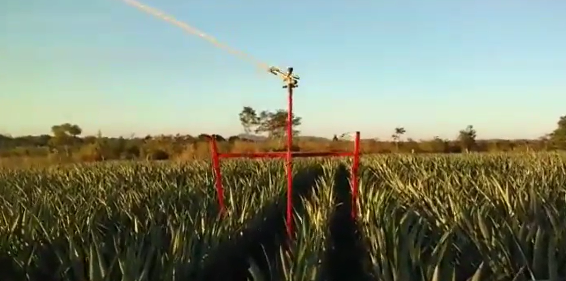 Carretel de irrigação: saiba como funciona