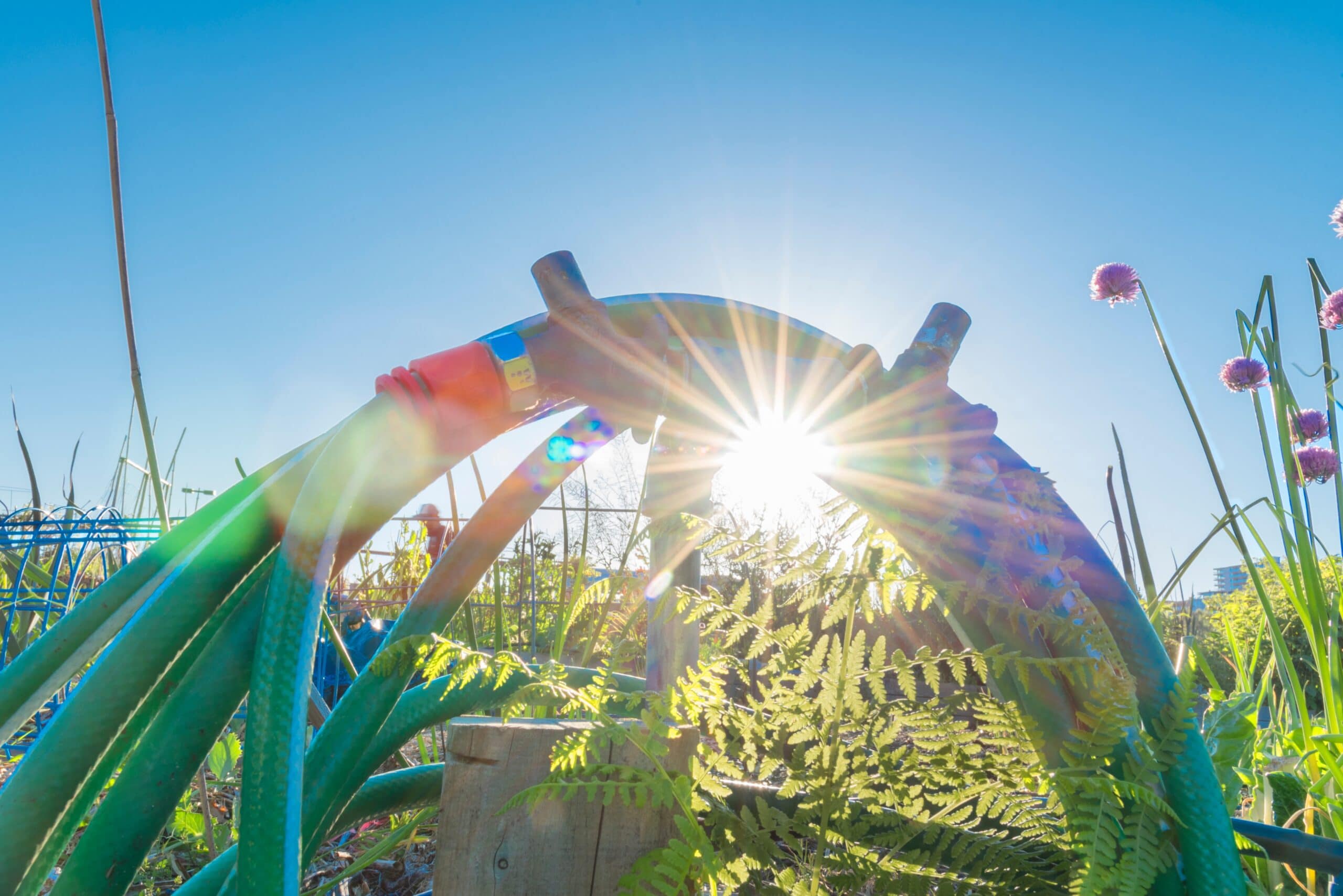 Como saber se a mangueira para irrigação é boa?