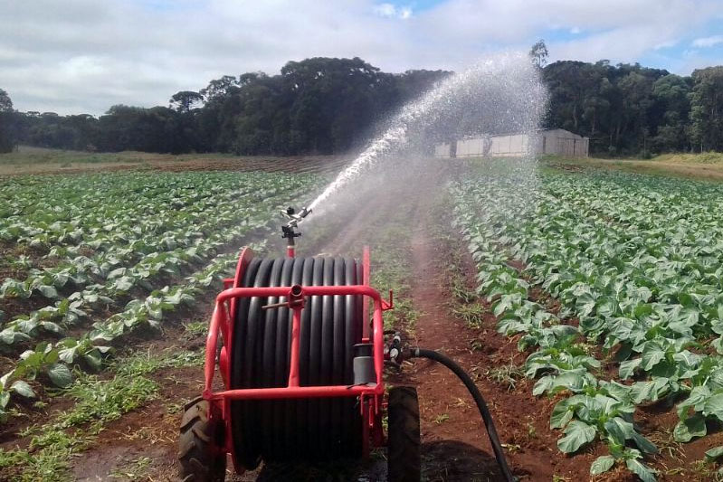 Saiba mais sobre fertirrigação por aspersão
