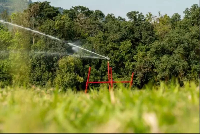 Como a irrigação inteligente está transformando a agricultura através da tecnologia