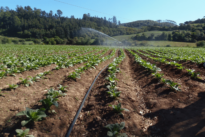 por-que-a-mangueira-do-irrigat-tem-120-metros