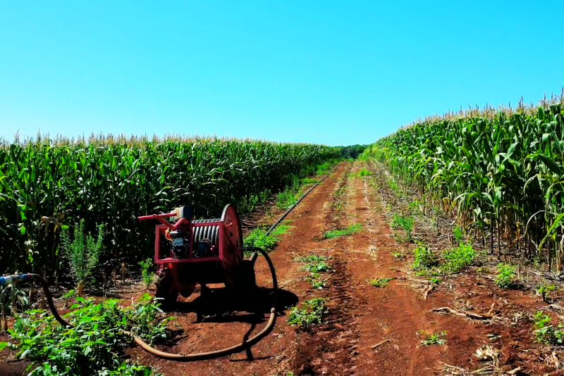 por-que-so-o-ecoirrigat-e-para-fertirrigacao