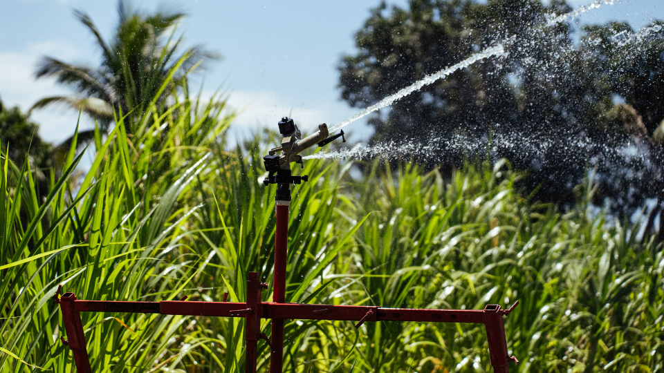 Irrigação por carretel e sua facilidade na lavoura