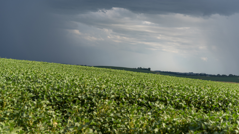 Como é a mudança do El Niño ao La Niña?