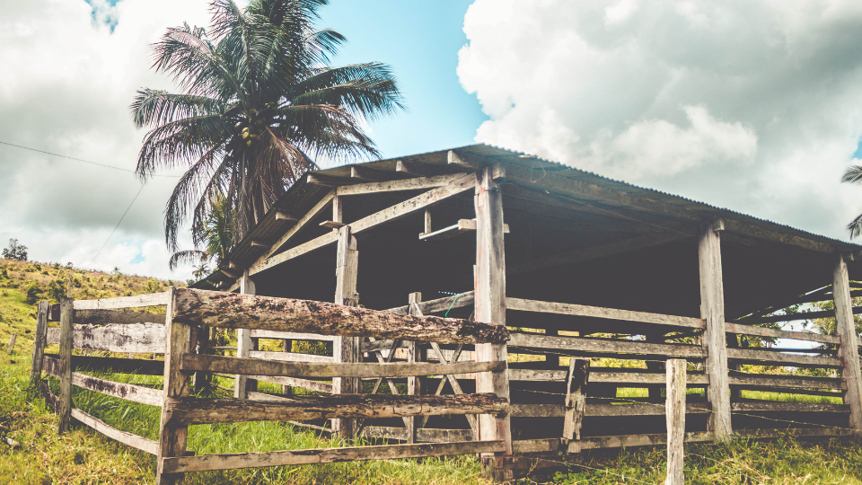 conheca-solucao-para-liberar-as-esterqueiras-em-dia-de-chuva