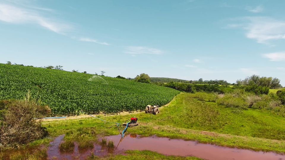 manejo-de-irrigacao-o-que-e-e-como-funciona
