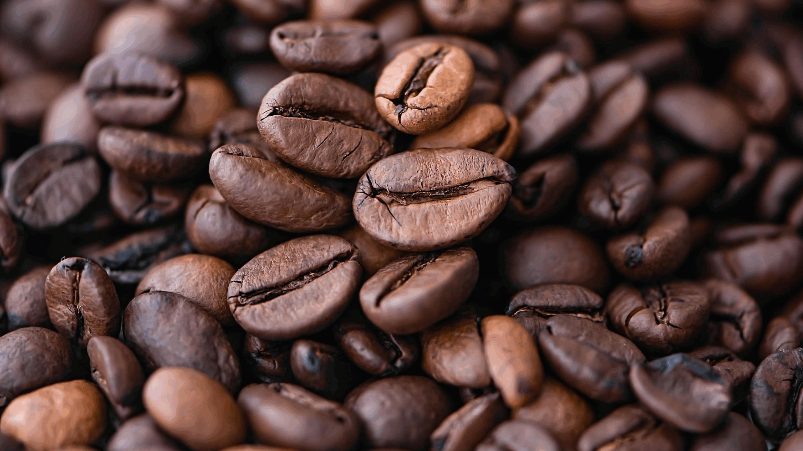 alta no preço do café