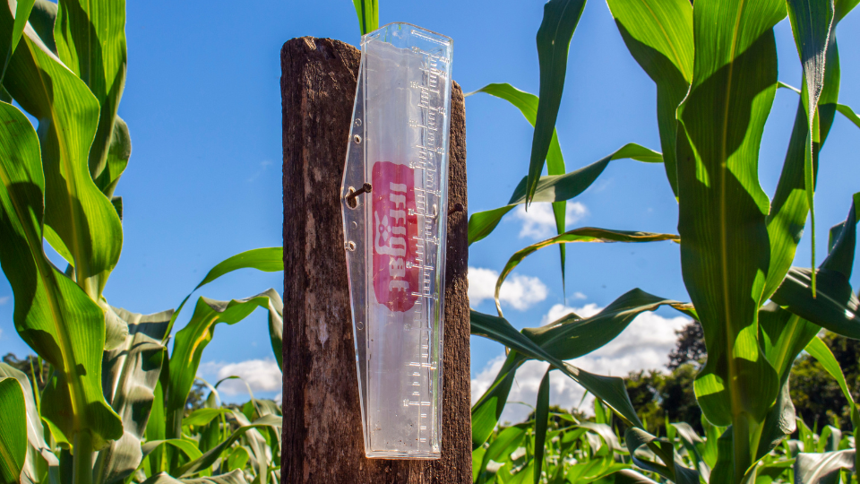 o pluviômetro e a economia na lavoura