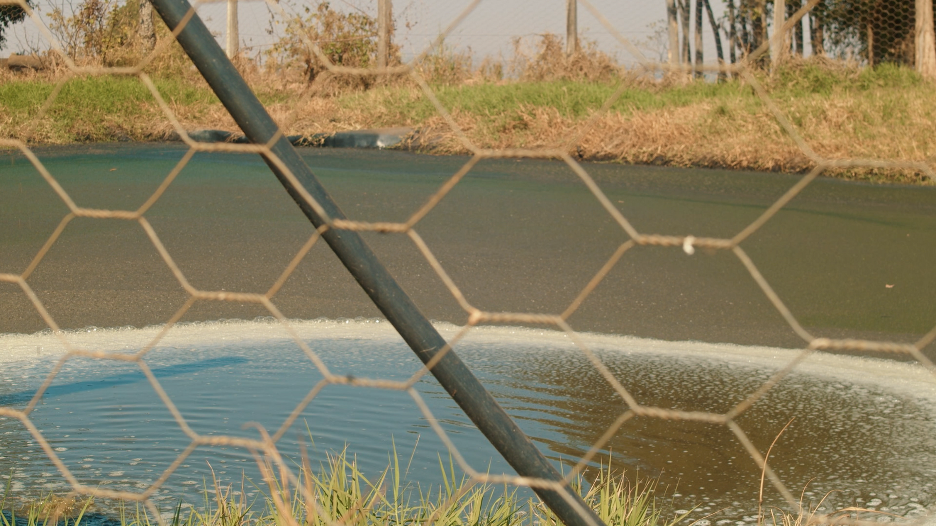prejuízos com esterqueiras cheias
