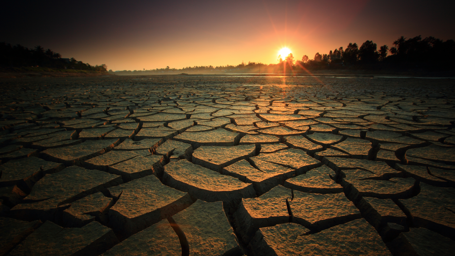 seca influencia o preço dos alimentos