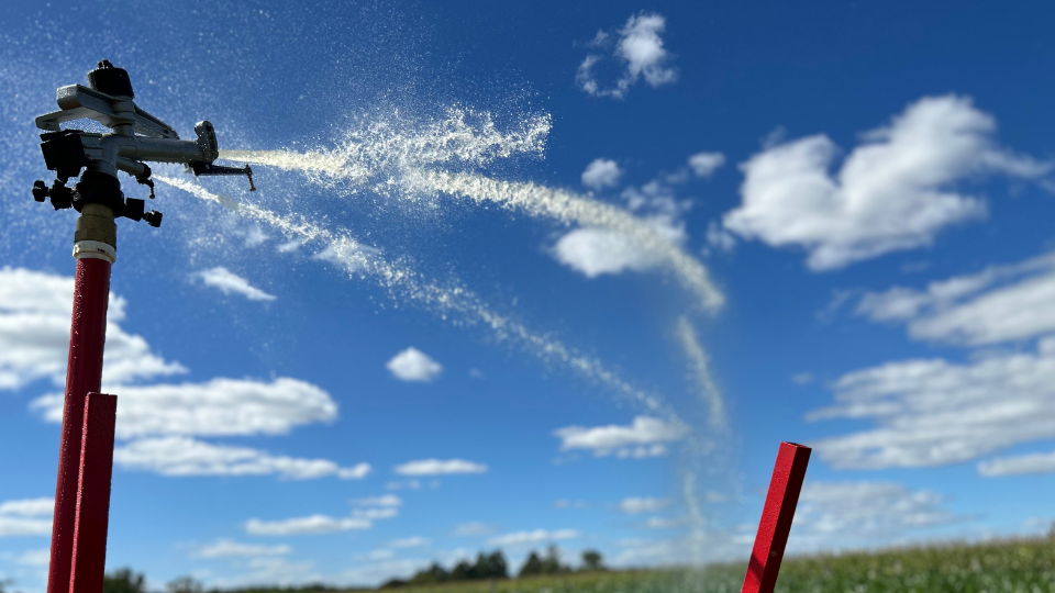 mitos sobre irrigação