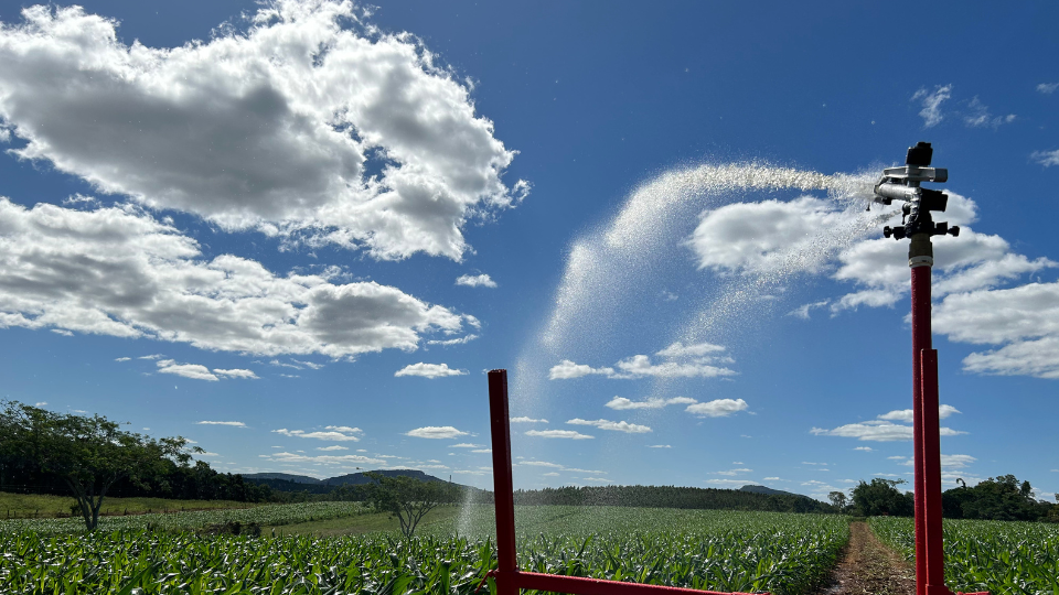 sistemas de irrigação por aspersão