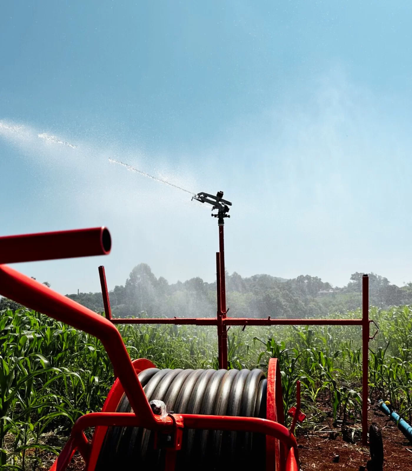 Bloco imagens 3 1.png