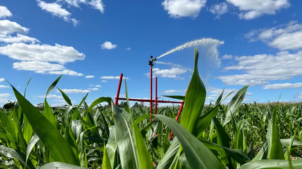 Imagem Blog 954 x 400 px 960 x 540 px 21.png