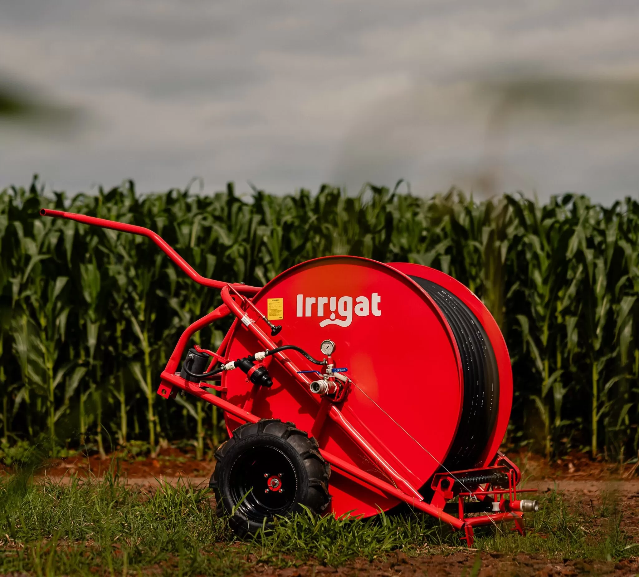 MS Producao Irrigat 483 Copia