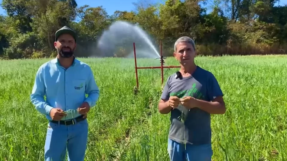 Capas Depoimentos 1.png