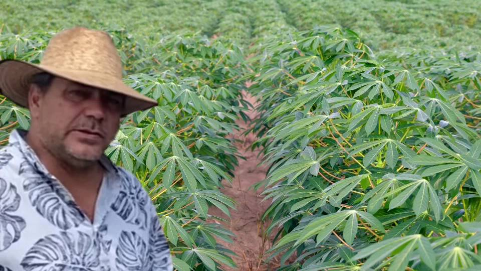 Capas Depoimentos 4.png