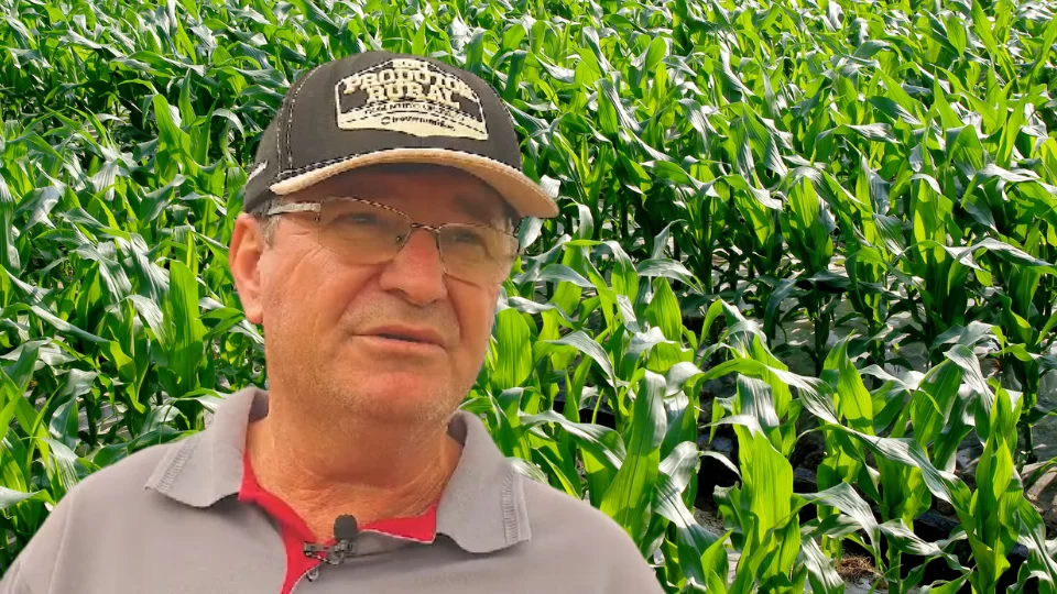 Capas Depoimentos 5.png