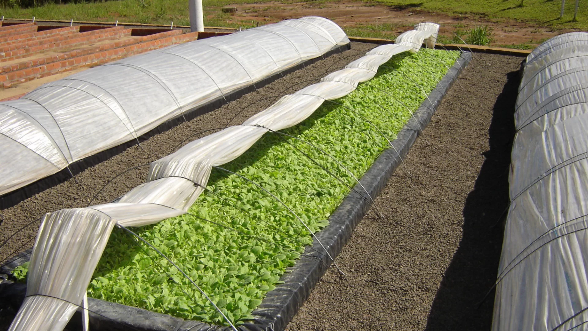 Exemplos Capa Youtube 3.png