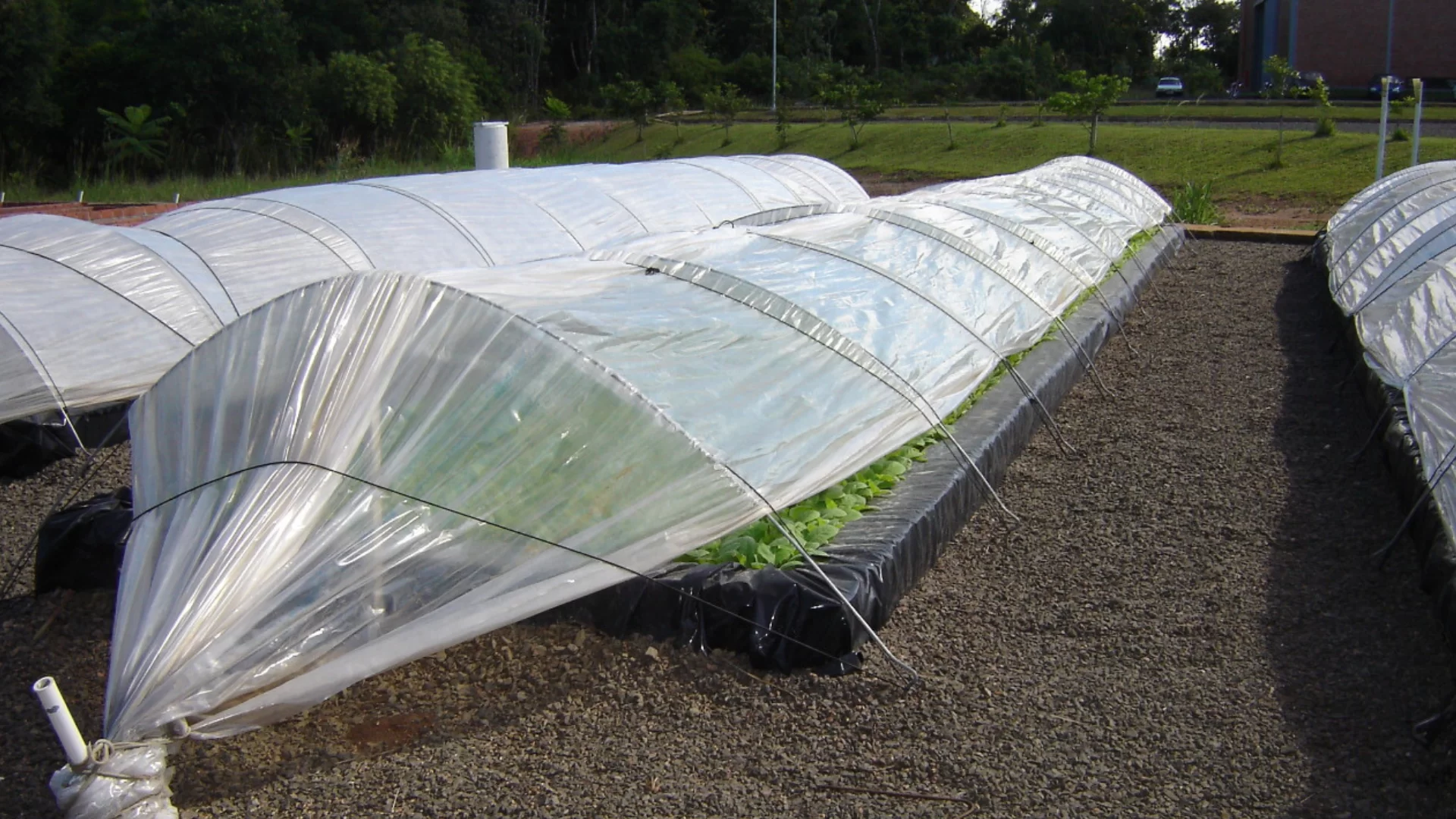 Exemplos Capa Youtube 4.png