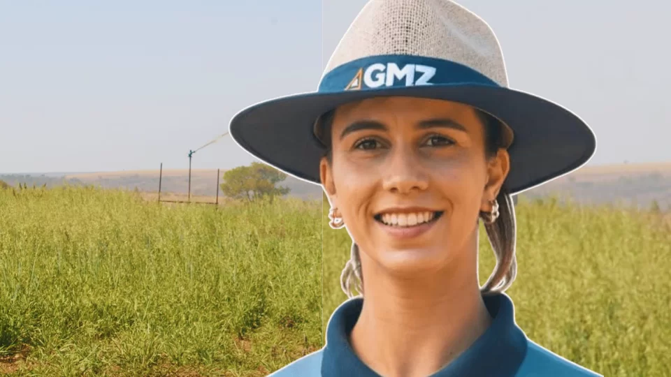 Imagem Blog 954 x 400 px 960 x 540 px 13.png