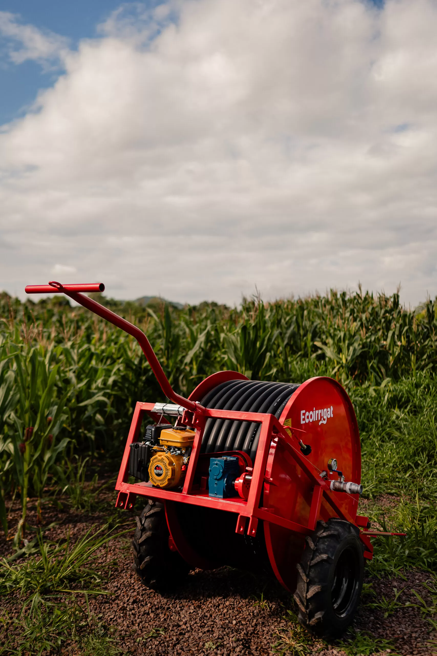 MS Producao Irrigat 625 scaled.jpg